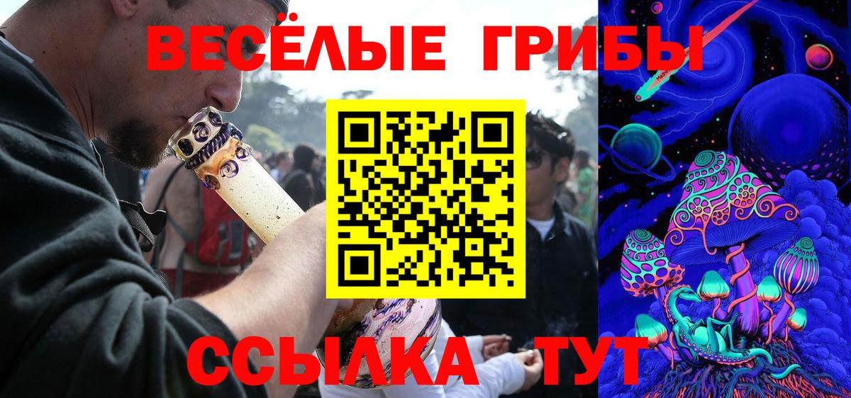 где продают наркотики  Псилоцибиновые грибы мухоморы  Галлюциногенные грибы мицелий  Вход с VPN  Ачинск 